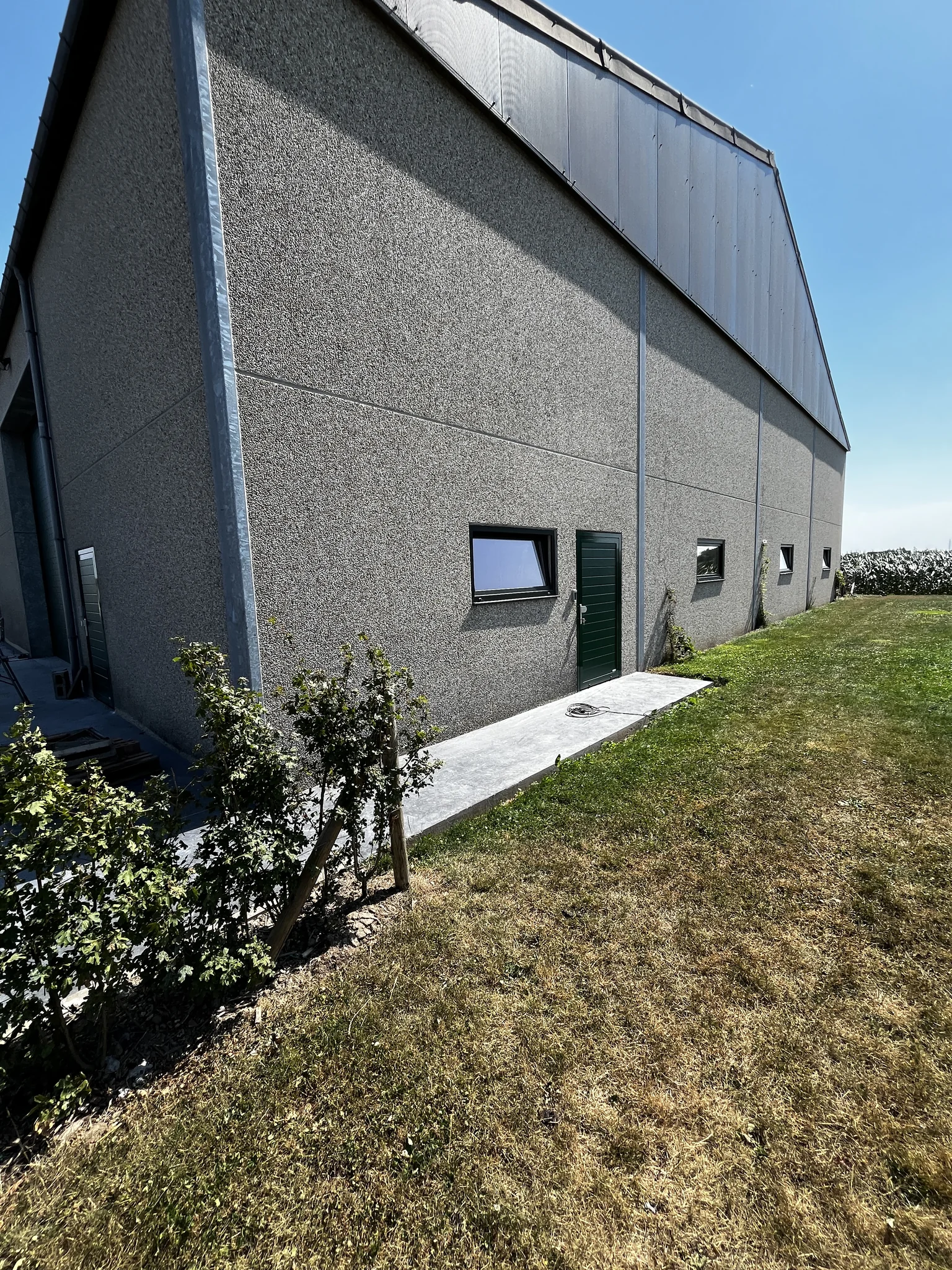 Modern grijs gebouw met groene deur, ramen en betonnen ingang, omgeven door grasveld en struiken.